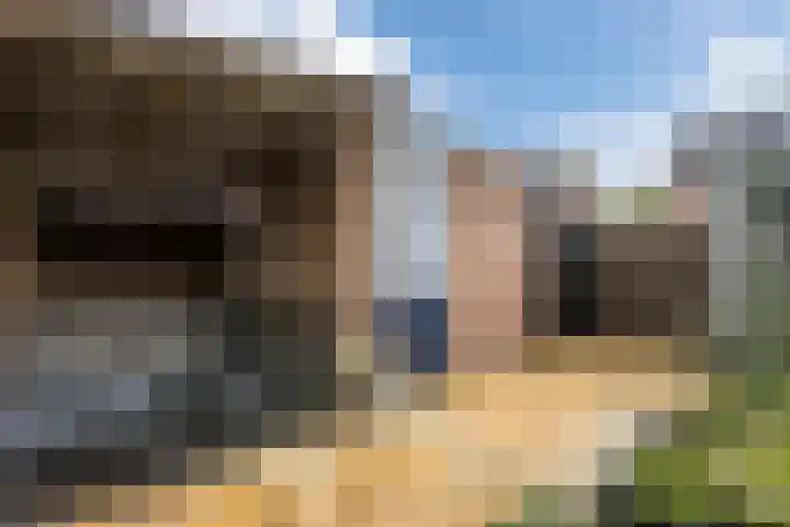 Annenkamp 51 Wapenveld thumbnail 40