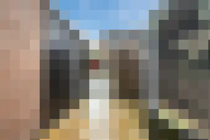 Annenkamp 51 Wapenveld thumbnail 42