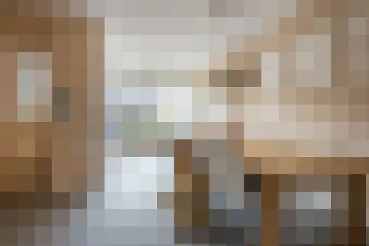 Annenkamp 51 Wapenveld thumbnail 7