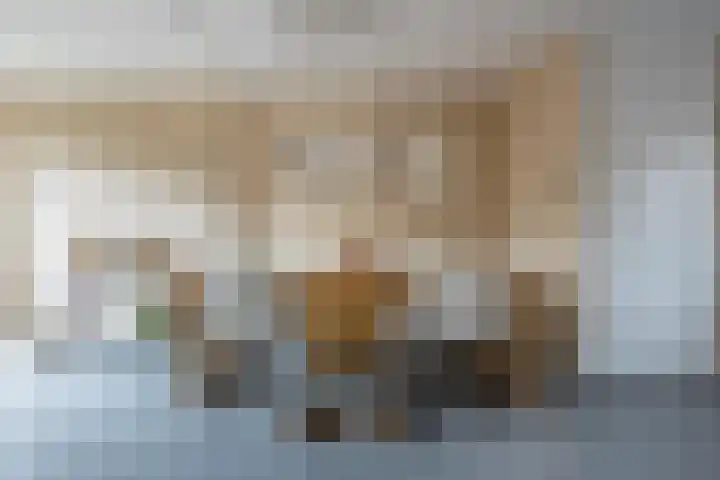 Annenkamp 51 Wapenveld thumbnail 9