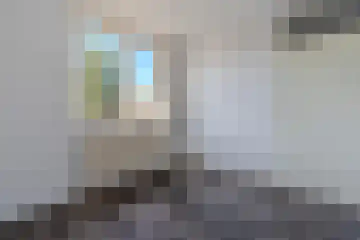 Annenkamp 53 Wapenveld thumbnail 15