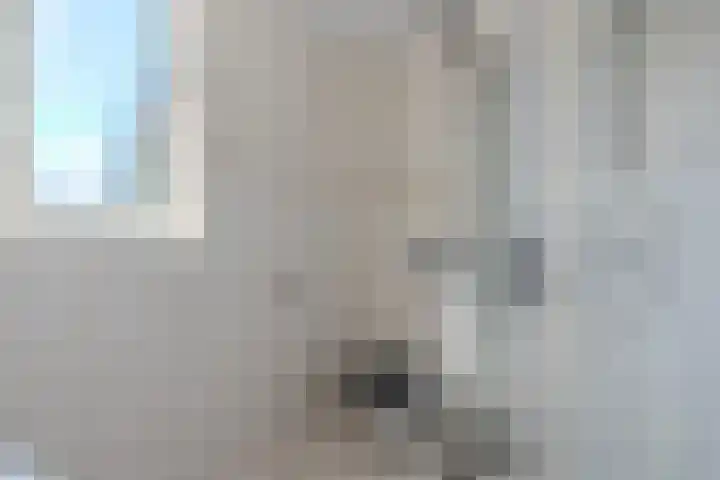 Annenkamp 53 Wapenveld thumbnail 18