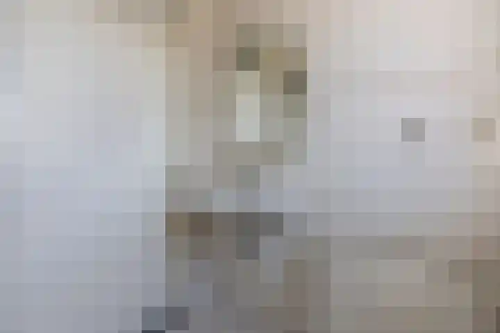 Annenkamp 53 Wapenveld thumbnail 20