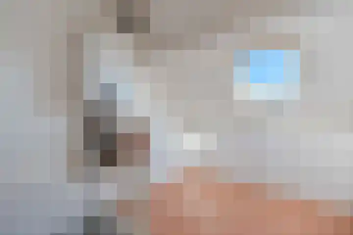 Annenkamp 53 Wapenveld thumbnail 22