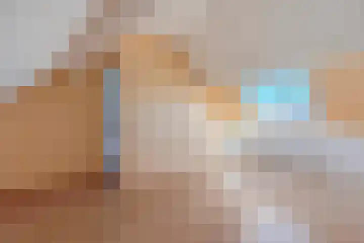 Annenkamp 53 Wapenveld thumbnail 26