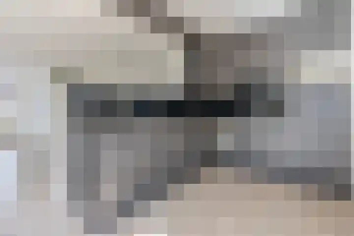 Annenkamp 53 Wapenveld thumbnail 5