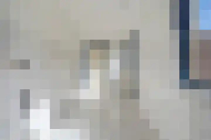 Annenkamp 53 Wapenveld thumbnail 6