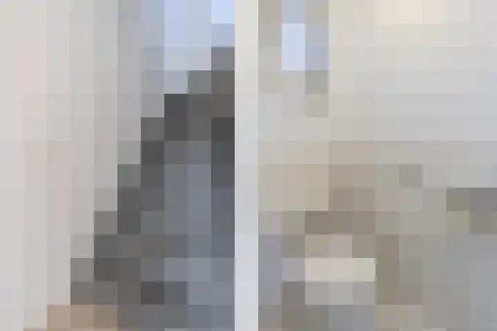 Annenkamp 53 Wapenveld thumbnail 9