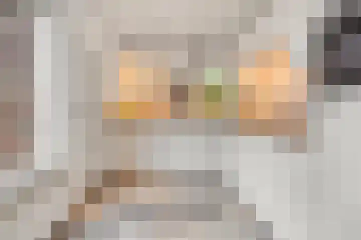 Annenkamp 64 Wapenveld thumbnail 11