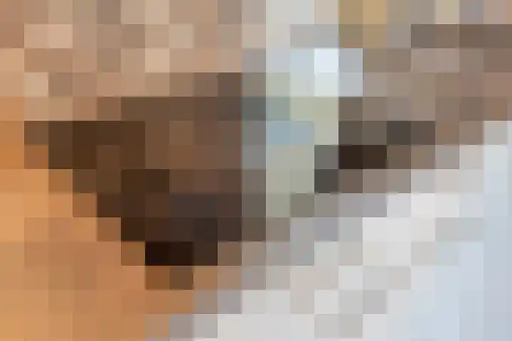 Annenkamp 64 Wapenveld thumbnail 13