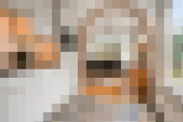 Annenkamp 64 Wapenveld thumbnail 14