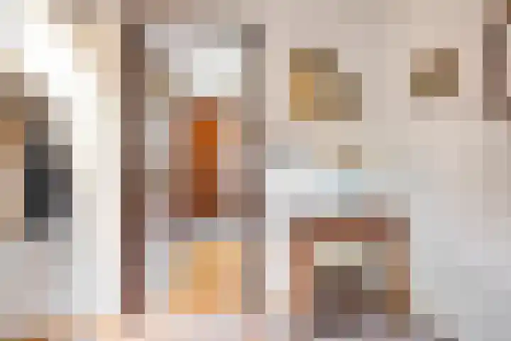 Annenkamp 64 Wapenveld thumbnail 19