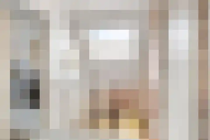 Annenkamp 64 Wapenveld thumbnail 22