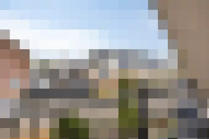 Annenkamp 64 Wapenveld thumbnail 24