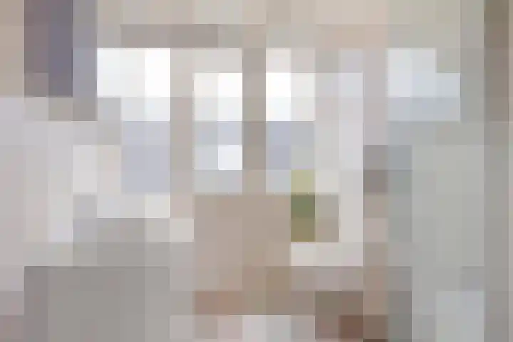 Annenkamp 64 Wapenveld thumbnail 27