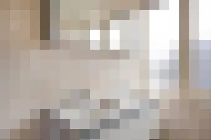 Annenkamp 64 Wapenveld thumbnail 28