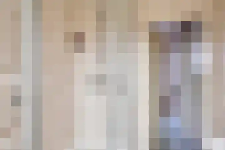 Annenkamp 64 Wapenveld thumbnail 29