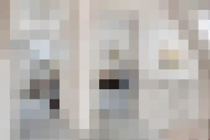 Annenkamp 64 Wapenveld thumbnail 30