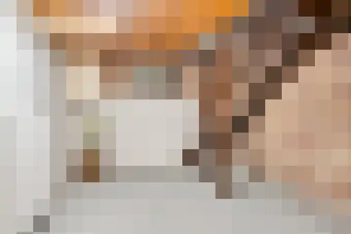 Annenkamp 64 Wapenveld thumbnail 35
