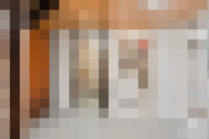 Annenkamp 64 Wapenveld thumbnail 36