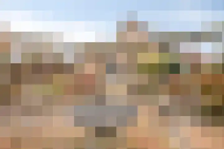 Annenkamp 64 Wapenveld thumbnail 39
