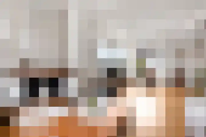 Annenkamp 64 Wapenveld thumbnail 4