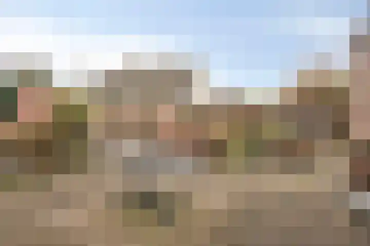 Annenkamp 64 Wapenveld thumbnail 40