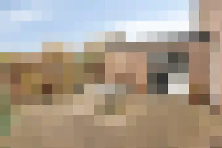 Annenkamp 64 Wapenveld thumbnail 41