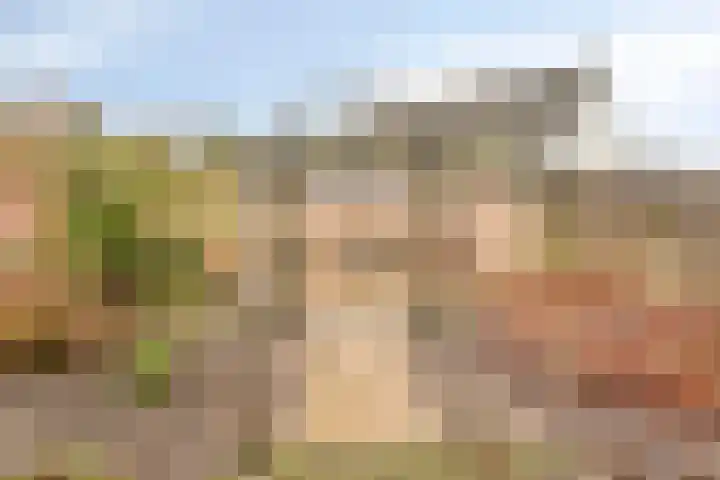 Annenkamp 64 Wapenveld thumbnail 42