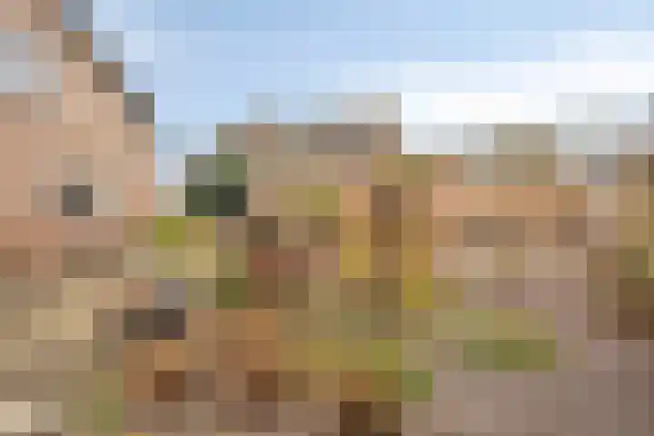 Annenkamp 64 Wapenveld thumbnail 43