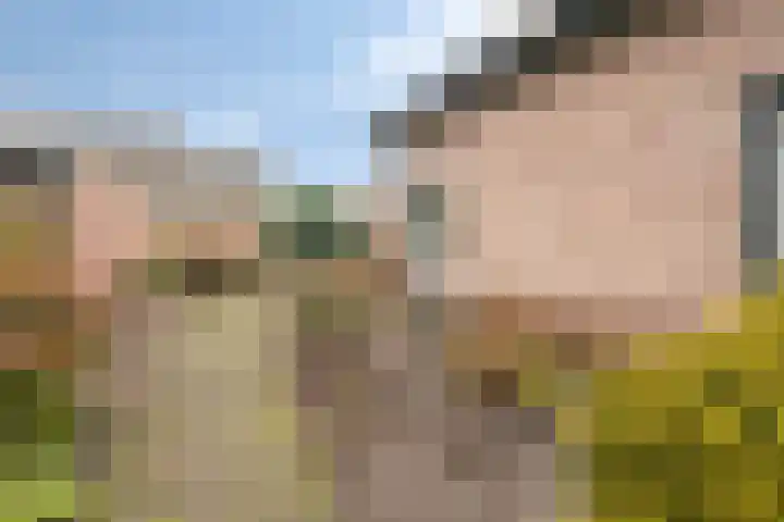 Annenkamp 64 Wapenveld thumbnail 44