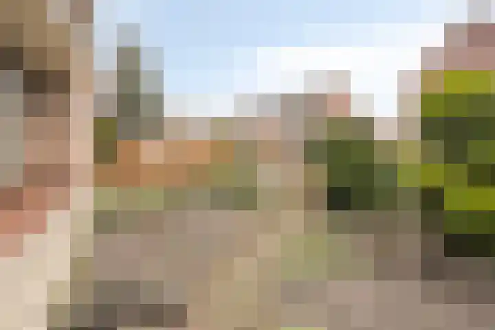 Annenkamp 64 Wapenveld thumbnail 45