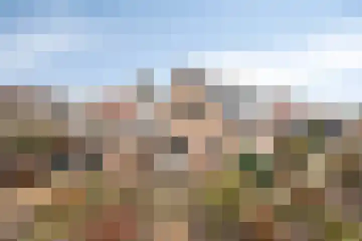 Annenkamp 64 Wapenveld thumbnail 46