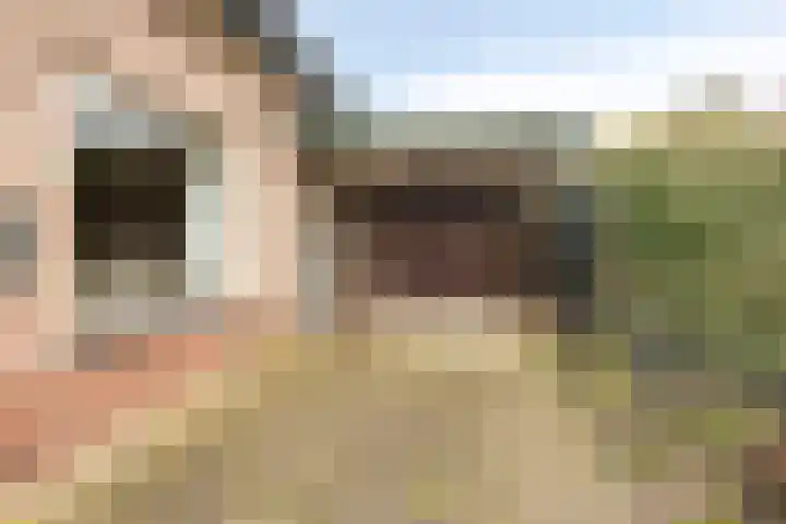Annenkamp 64 Wapenveld thumbnail 48