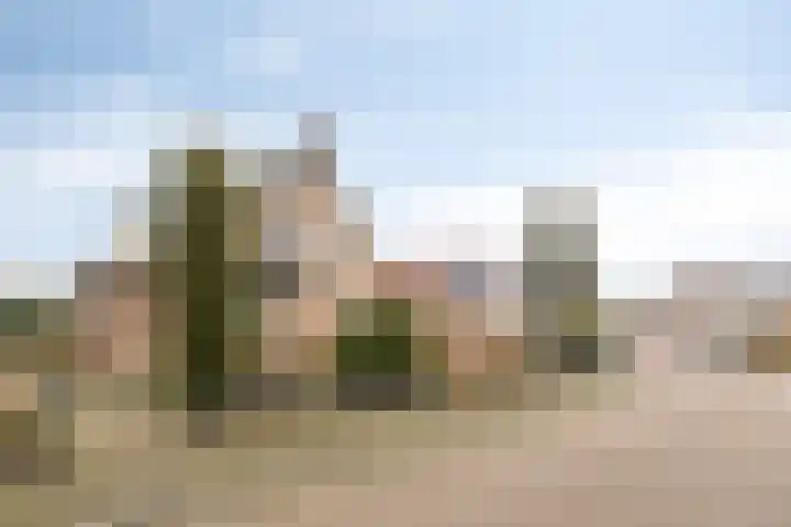Annenkamp 64 Wapenveld thumbnail 50