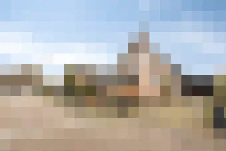 Annenkamp 64 Wapenveld thumbnail 51
