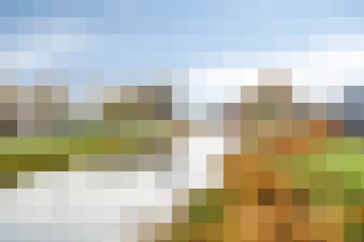 Annenkamp 64 Wapenveld thumbnail 52