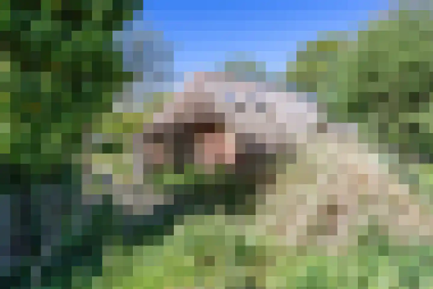 Annermoeras 8 Annen thumbnail 12