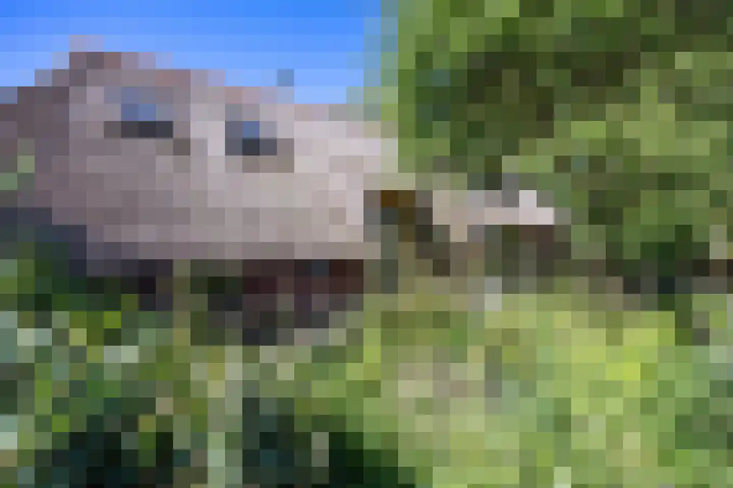 Annermoeras 8 Annen thumbnail 13