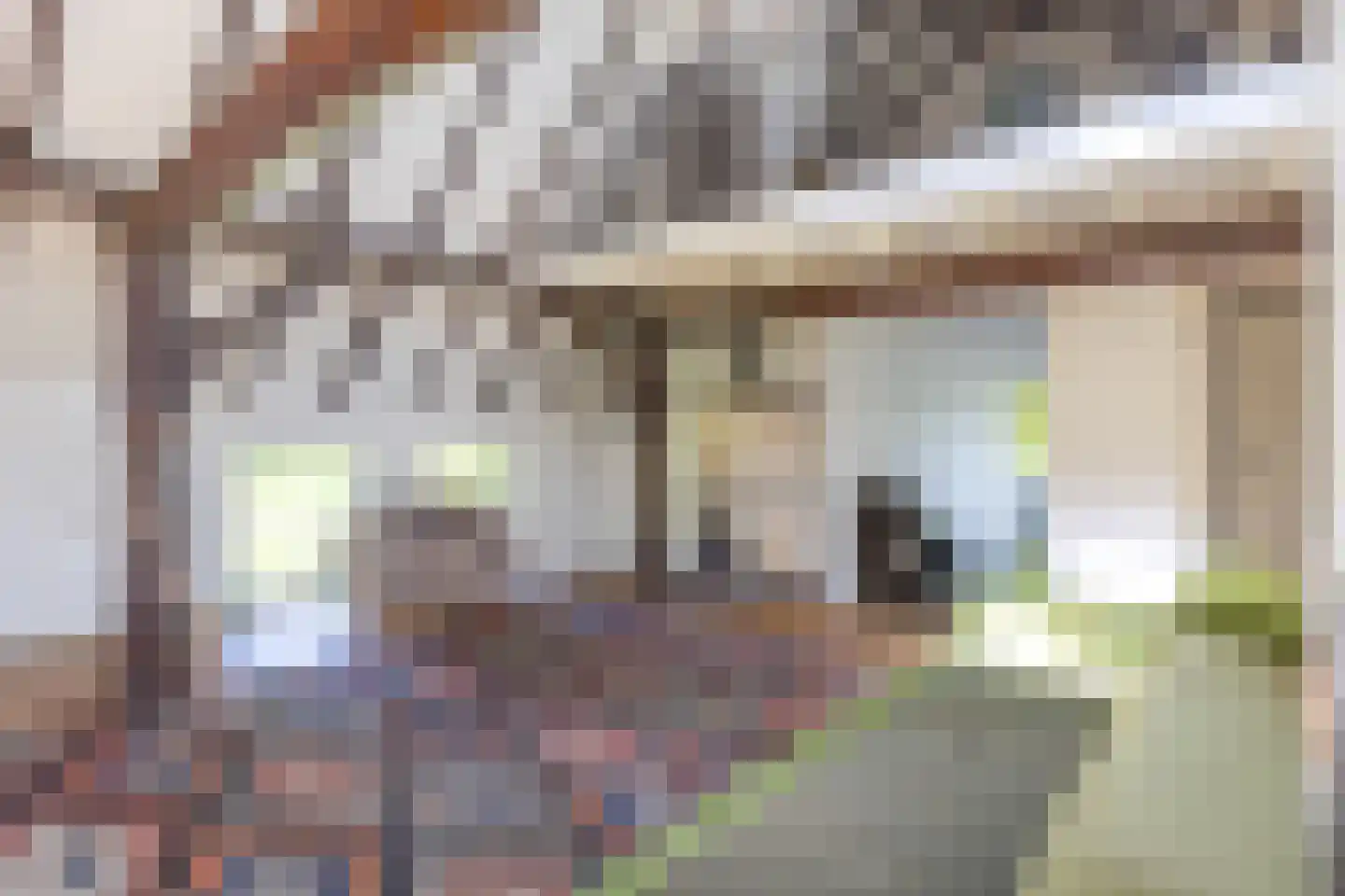 Annermoeras 8 Annen thumbnail 30