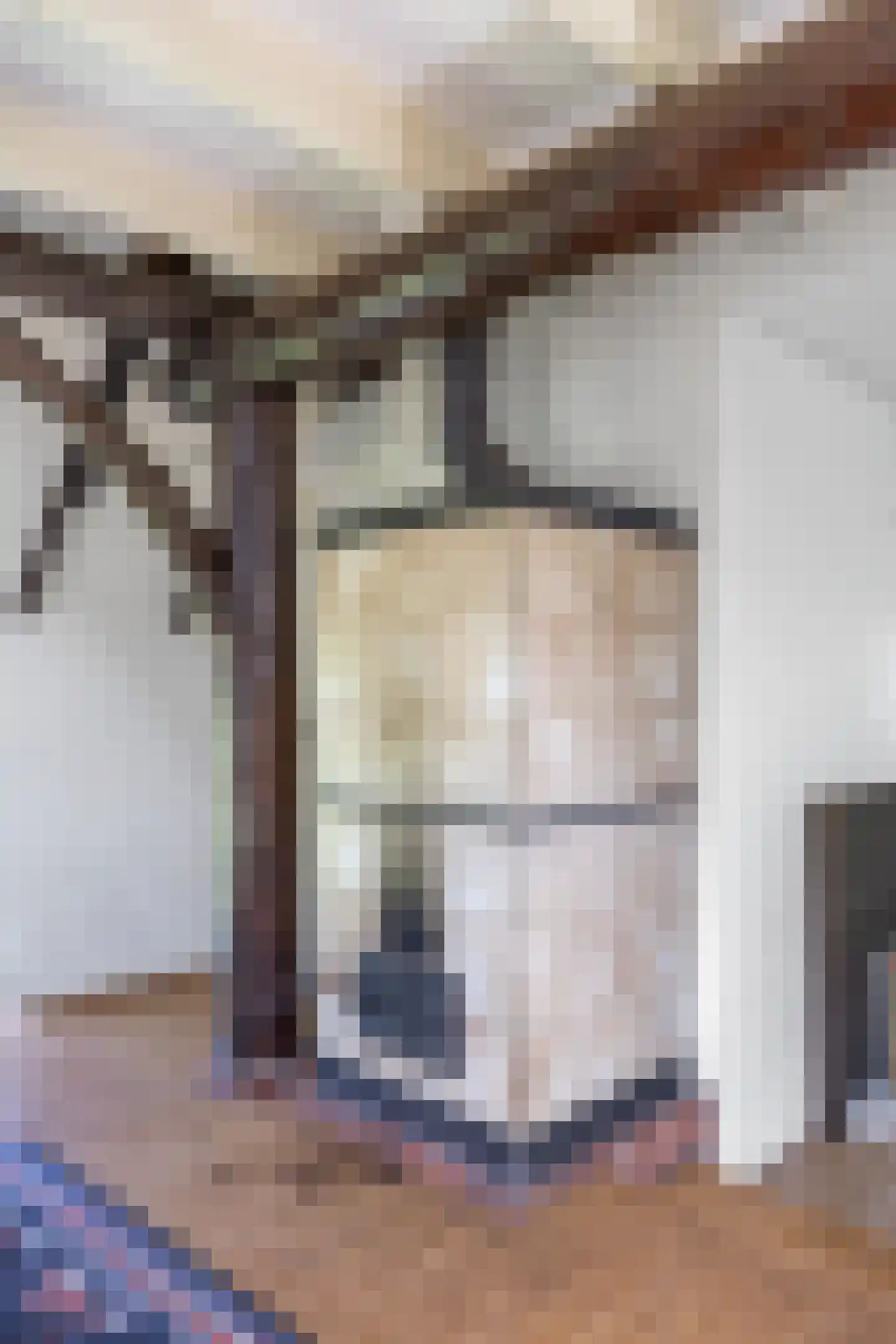 Annermoeras 8 Annen thumbnail 33