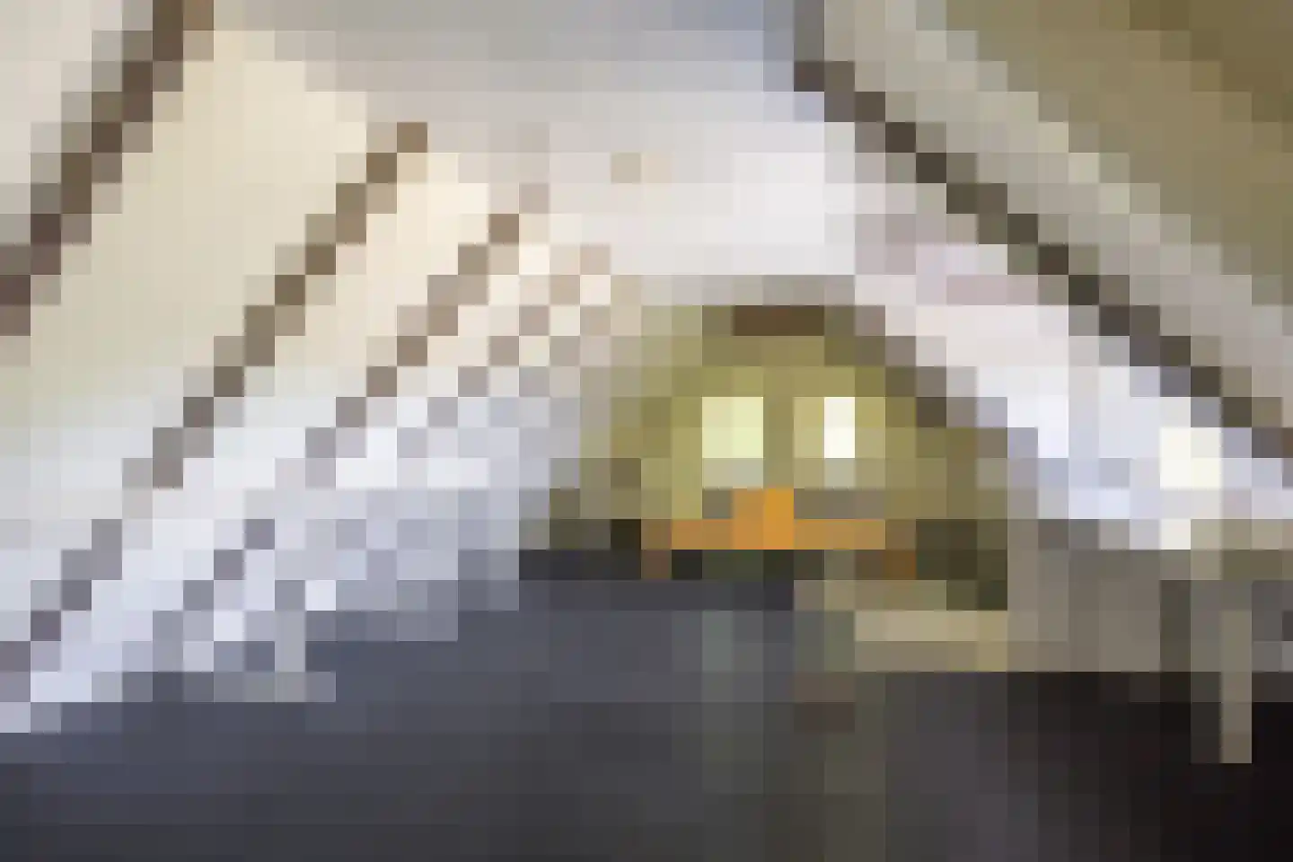 Annermoeras 8 Annen thumbnail 44