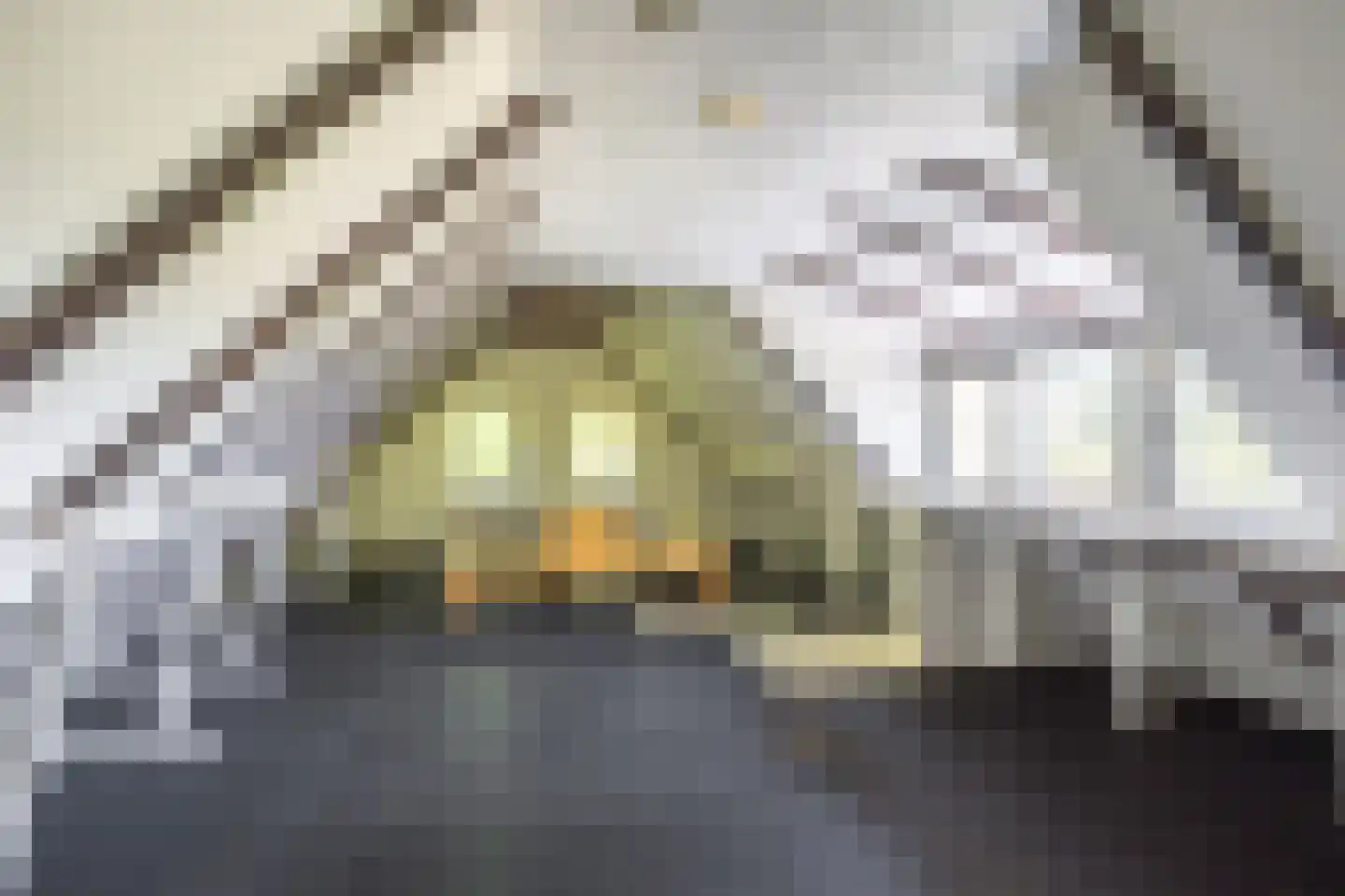 Annermoeras 8 Annen thumbnail 45