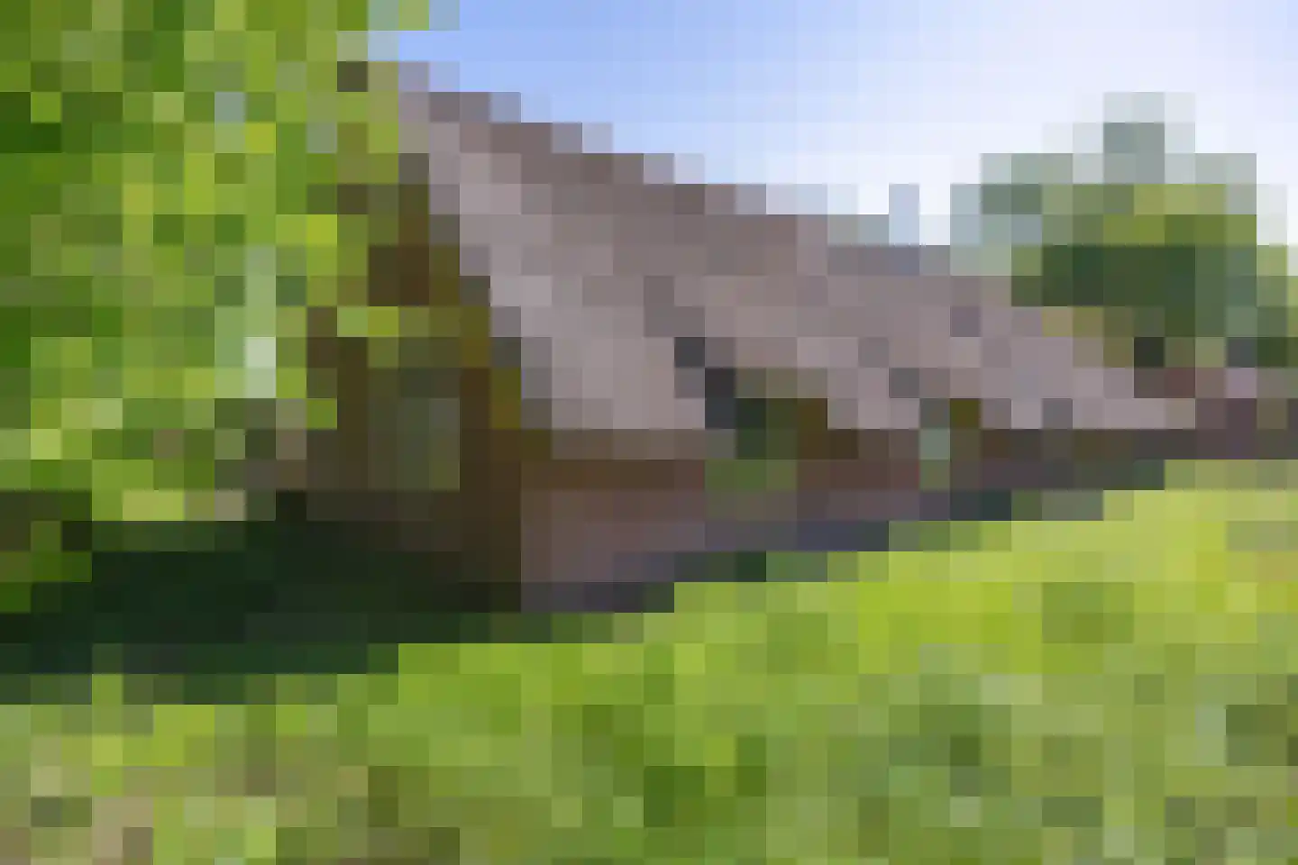 Annermoeras 8 Annen thumbnail 50