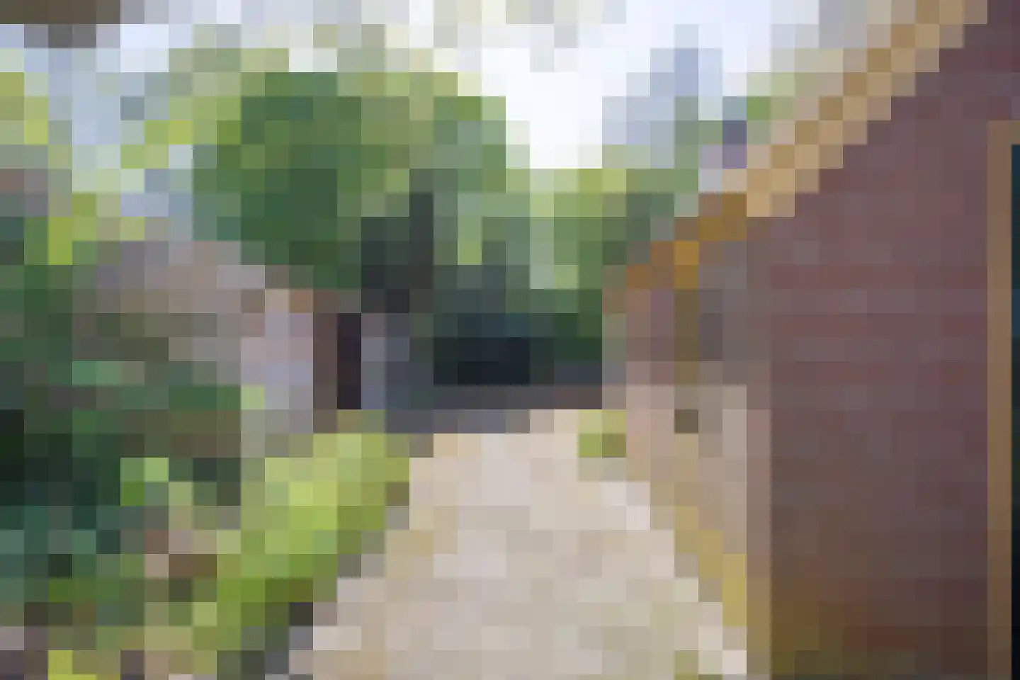 Annermoeras 8 Annen thumbnail 56