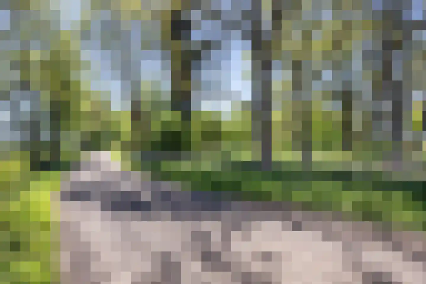 Annermoeras 8 Annen thumbnail 6