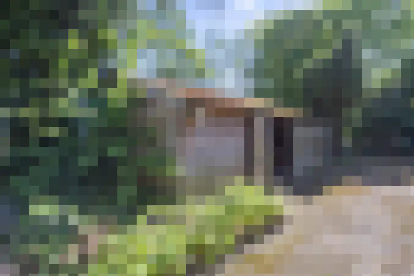 Annermoeras 8 Annen thumbnail 60