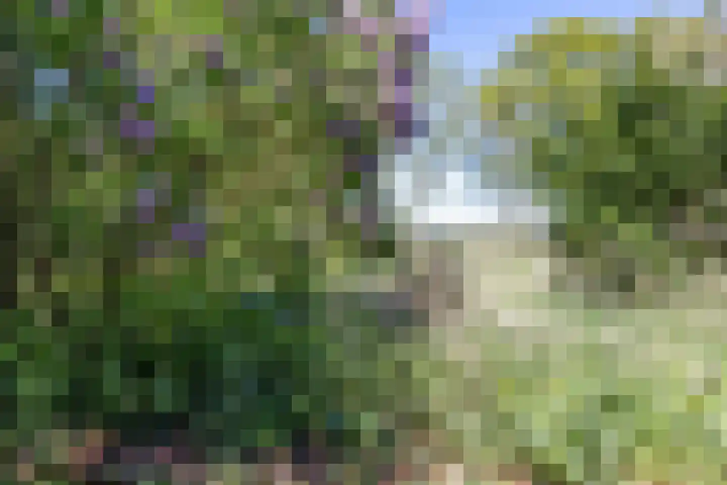 Annermoeras 8 Annen thumbnail 62