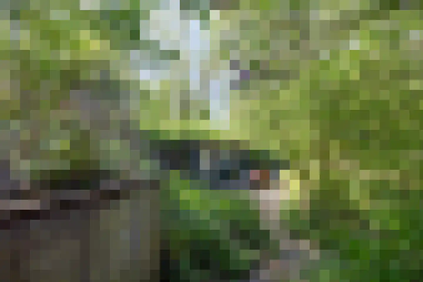Annermoeras 8 Annen thumbnail 63