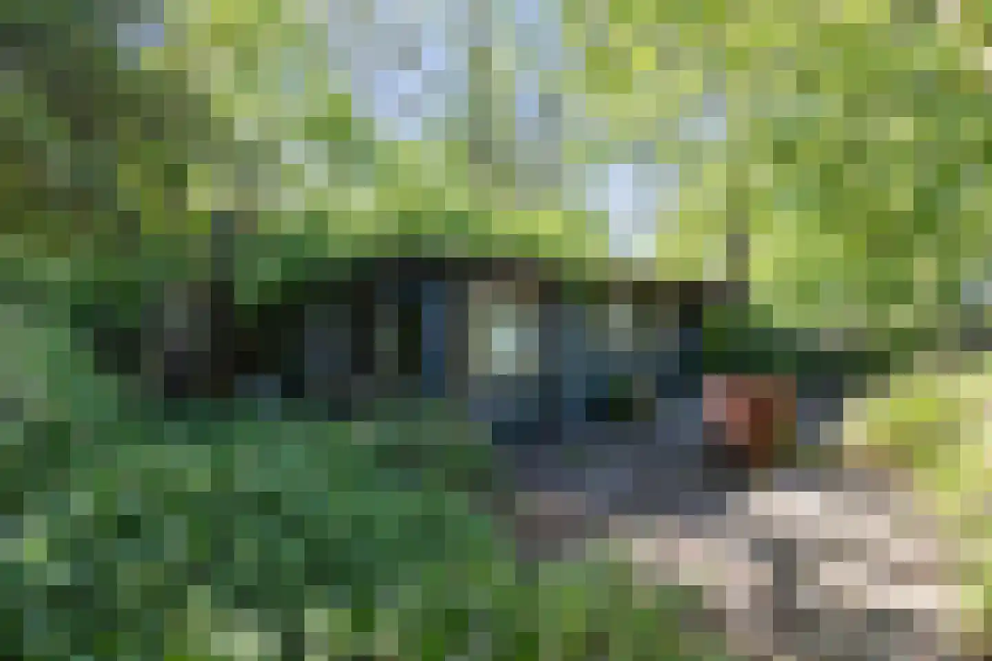 Annermoeras 8 Annen thumbnail 64